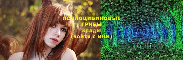 ALPHA PVP Осинники