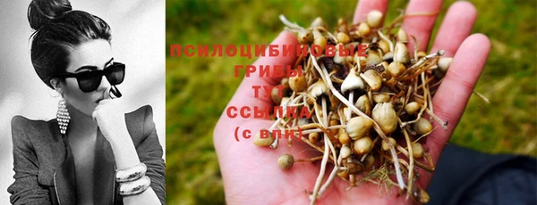 MESCALINE Осташков