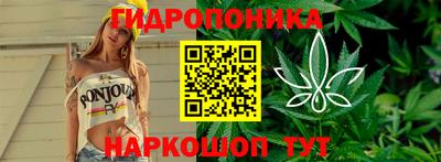 дурь Бийск