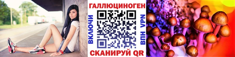 Галлюциногенные грибы Cubensis  где купить наркотик  это какой сайт  Муравленко  МЕГА сайт 