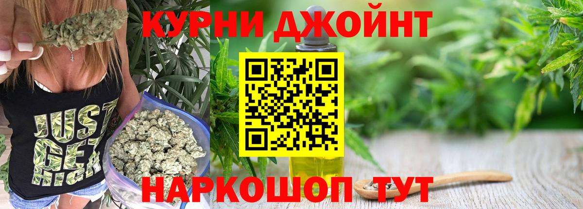 Конопля сатива Муравленко